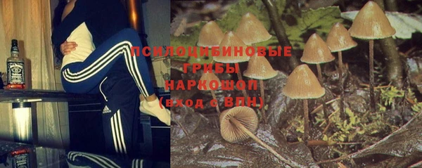 синтетический гашиш Белокуриха
