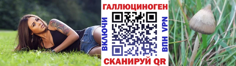МЕГА онион  Мезень  Галлюциногенные грибы мухоморы 
